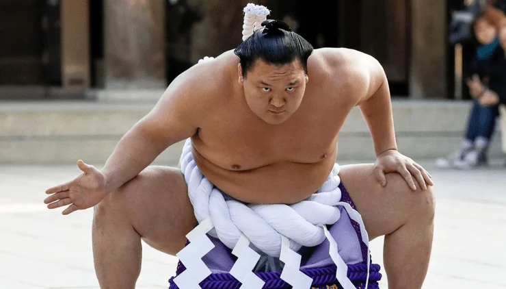El sumo en los videojuegos - mejor luchador de sumo hakuho