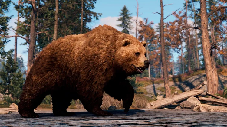 Rust no es para todos - oso