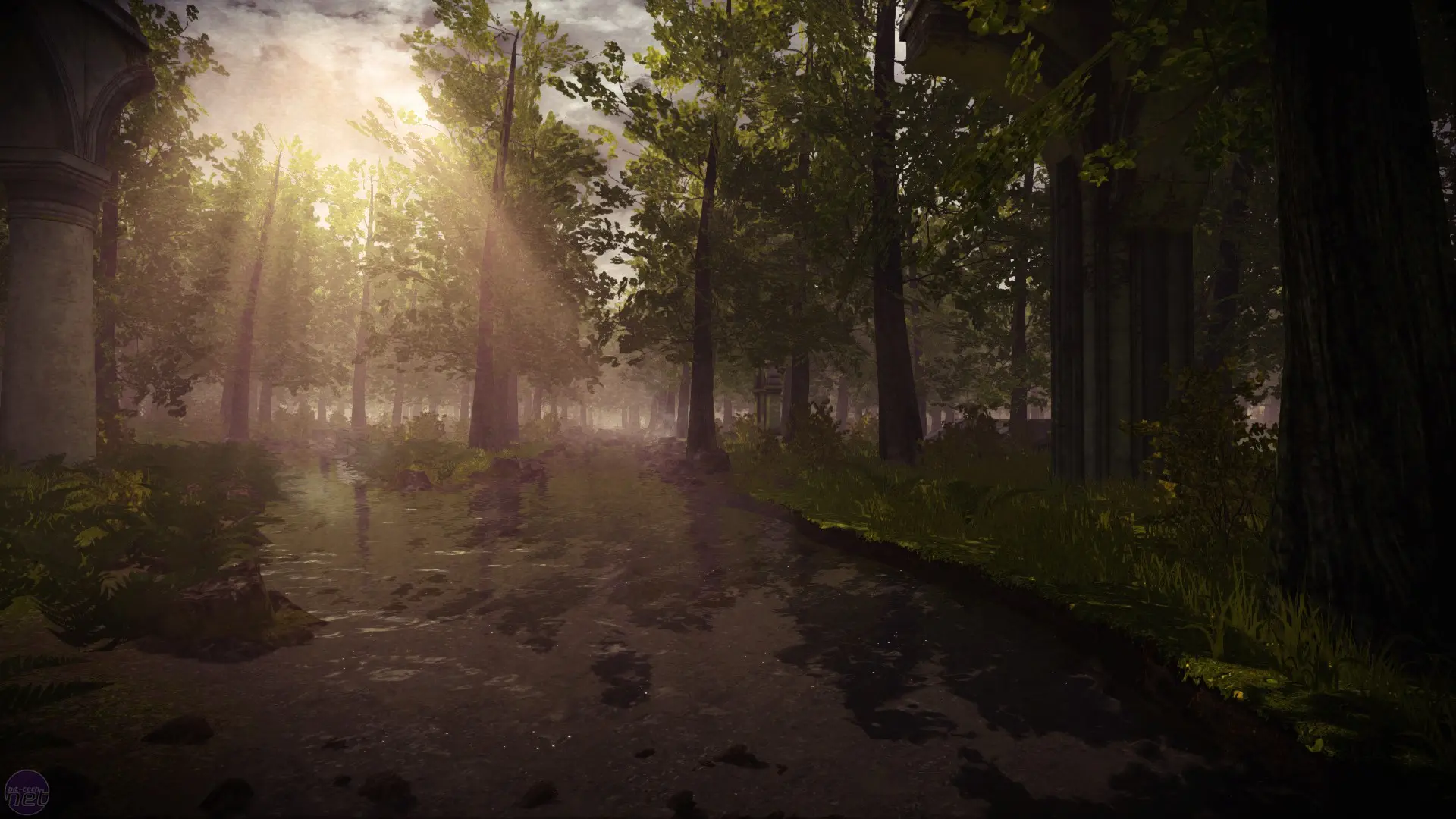 Sendero inundado entre árboles con luz dorada filtrándose, una escena que confirma que el videojuego es arte que mezcla calma y misterio.