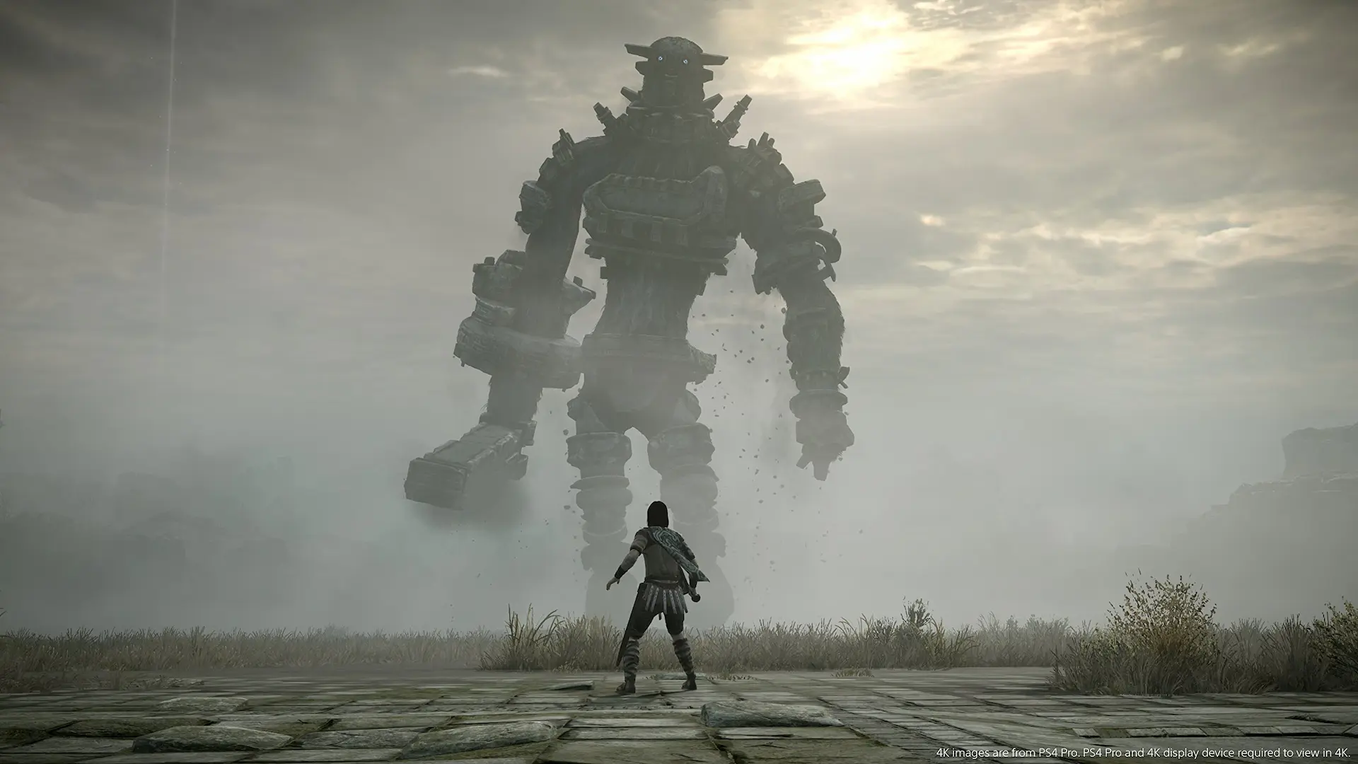 Wander se enfrenta solo a un coloso monumental entre la niebla en una llanura desolada de Shadow of the Colossus.
