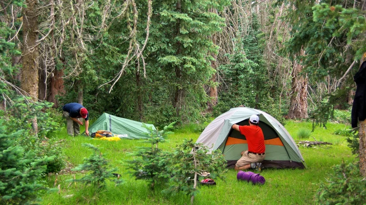 Situaciones irritantes en videojuegos - Camper