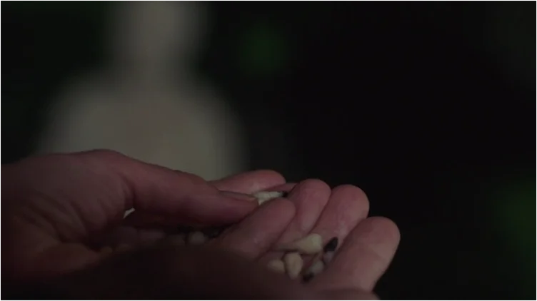 Crítica de Channel Zero