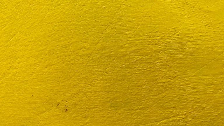 Respetar la visión del autor