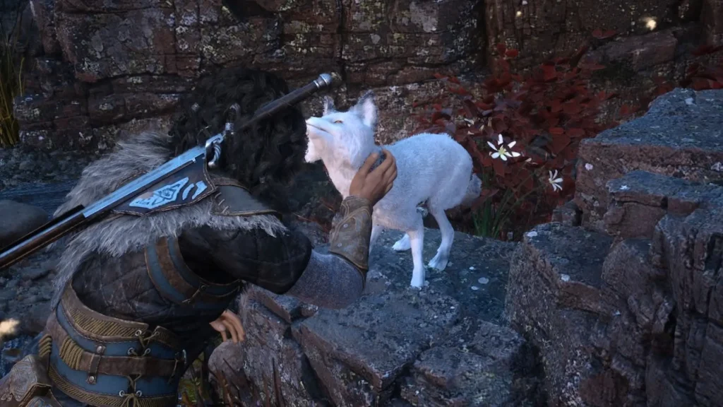 Ryn acariciando zorro blanco en entorno rocoso con flores silvestres en Echoes of the End.